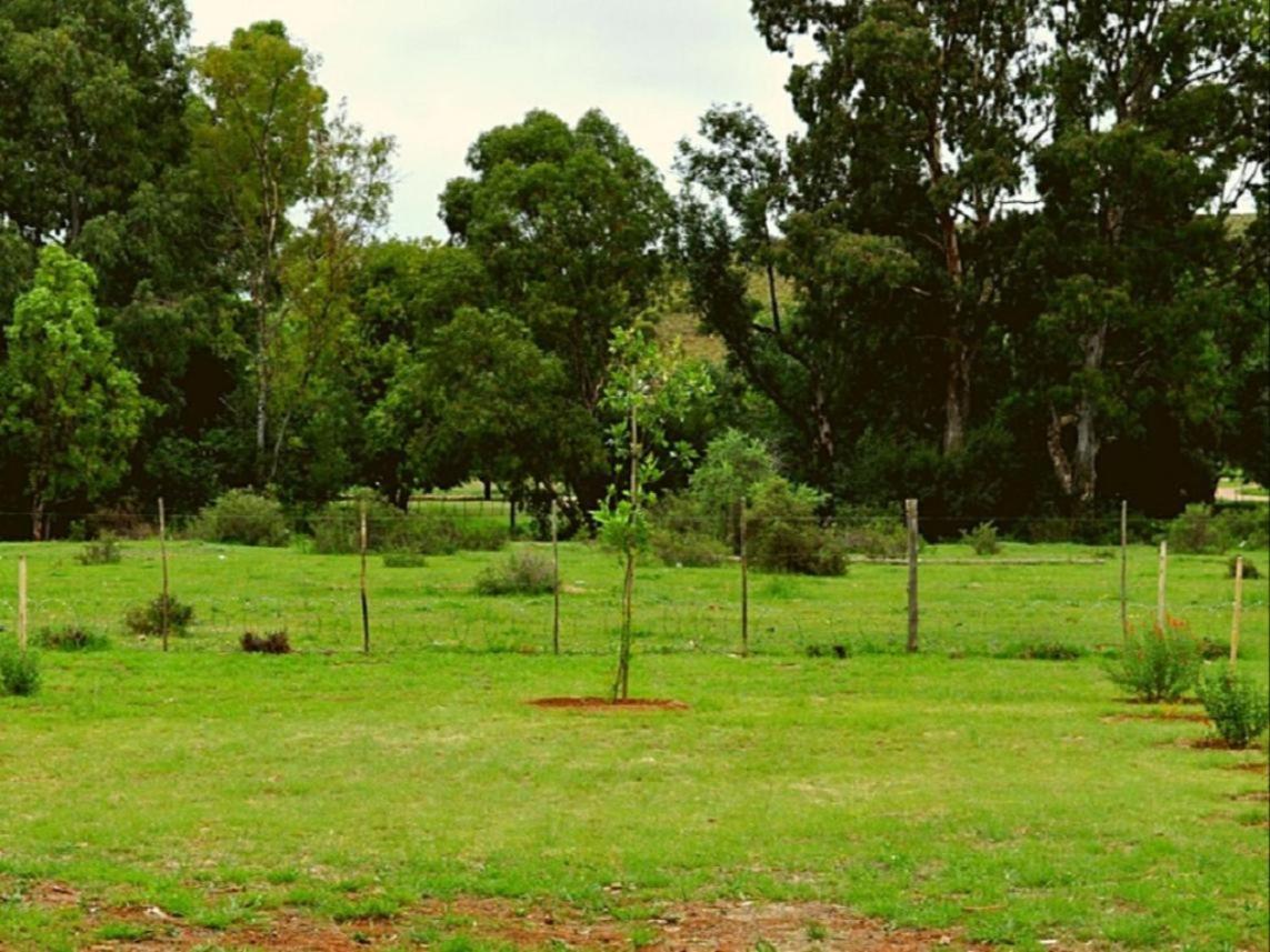 Little Farms Colesberg Exterior foto