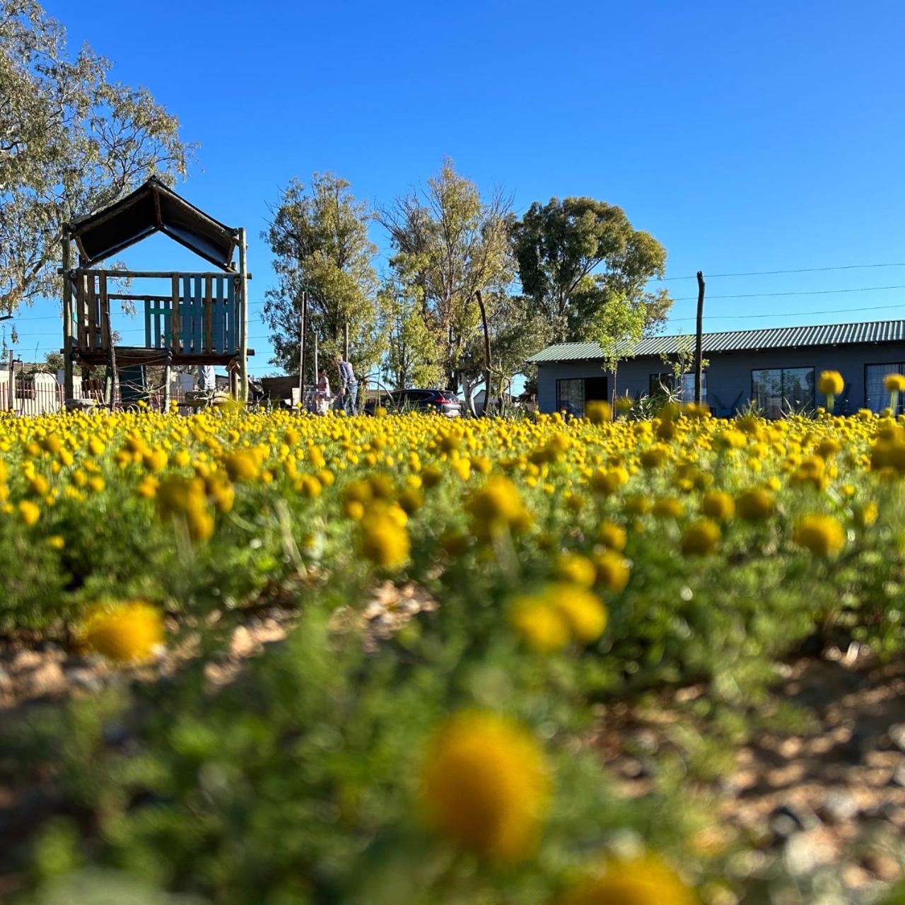Little Farms Colesberg Exterior foto